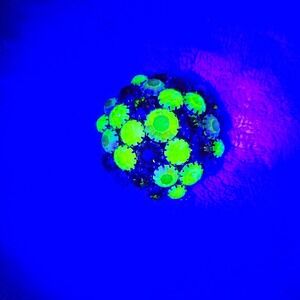 Vintage Uranium Rhinestone Brooch Round Domed Aurora Borealis Pin‎ Jewelry